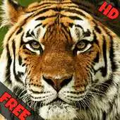 Free play online Indian Animal Sounds APK Free play online Indian Animal Sounds APK