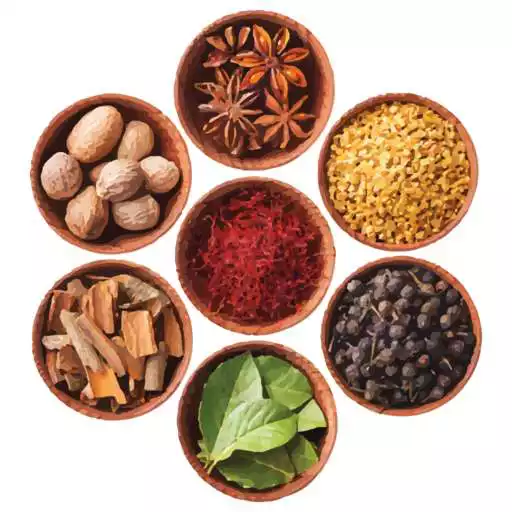 Free play online IndianRecipes.com: Indian Recipes  How-To Videos APK