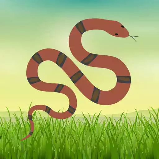 Play Indian Snakes APK Play Indian Snakes APK