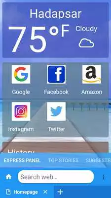 Play Indian Web Browser Pro