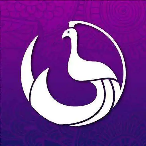 Play Indian wep browser APK