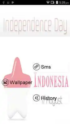 Play Indo Independenceday 2017