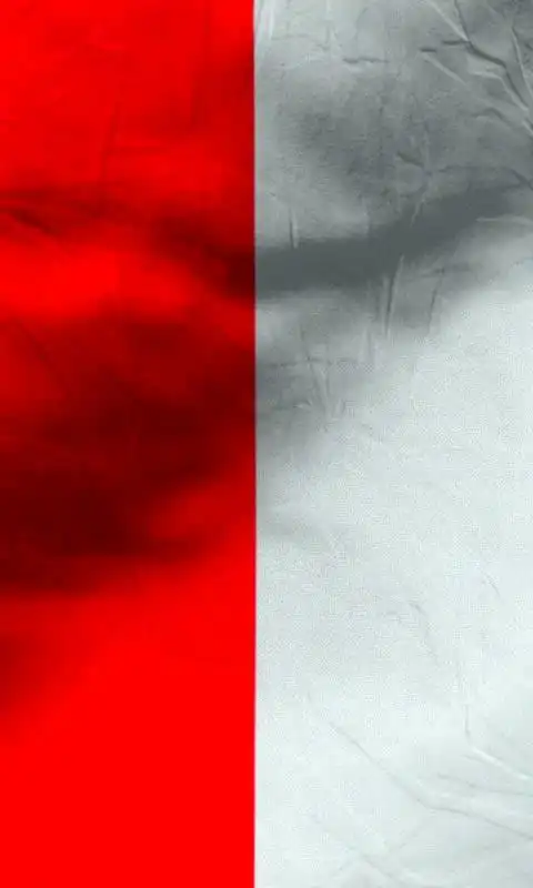 Play Indonesia flag free