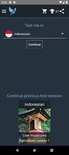 Play Indonesian Language Tests  and enjoy Indonesian Language Tests with UptoPlay