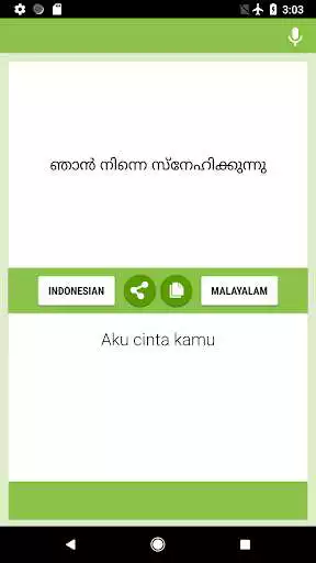 Play Indonesian-Malayalam Translator as an online game Indonesian-Malayalam Translator with UptoPlay