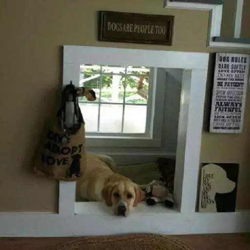 Play Indoor Dog House APK