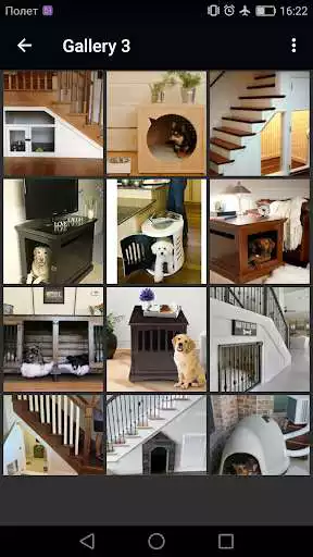 Play Indoor Dog House as an online game Indoor Dog House with UptoPlay