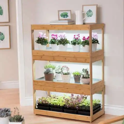 Play Indoor Greenhouse APK