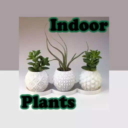 Run free android online Indoor Plants APK Run free android online Indoor Plants APK