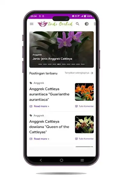 Play Info Budidaya Anggrek and enjoy Info Budidaya Anggrek with UptoPlay Play Info Budidaya Anggrek and enjoy Info Budidaya Anggrek with UptoPlay