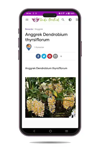 Play Info Budidaya Anggrek as an online game online Info Budidaya Anggrek with UptoPlay Play Info Budidaya Anggrek as an online game Info Budidaya Anggrek with UptoPlay