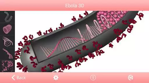 Play InfoEbola3D