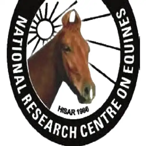 Play Info Equine Production APK