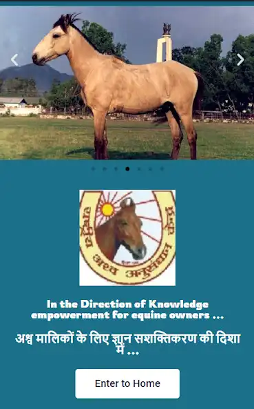 Play Info Equine Production  and enjoy Info Equine Production with UptoPlay