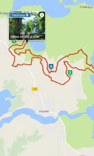 Play Infomolėtai as an online game Infomolėtai with UptoPlay