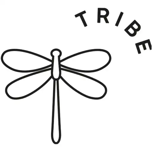 Play Inner Beauty Tribe APK