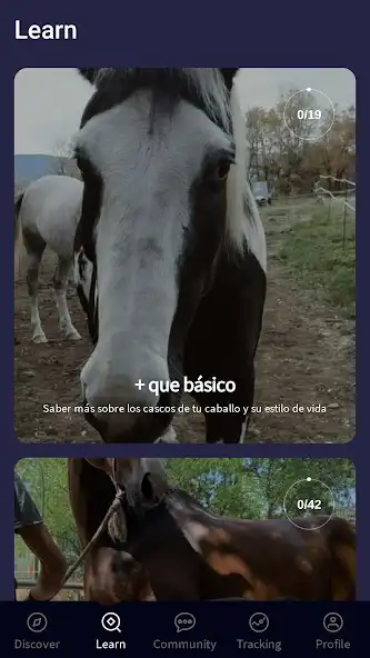 Play Innova Horse Care App as an online game Innova Horse Care App with UptoPlay