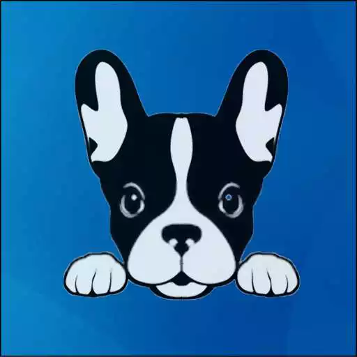 Play Inoata Chelutu APK Play Inoata Chelutu APK