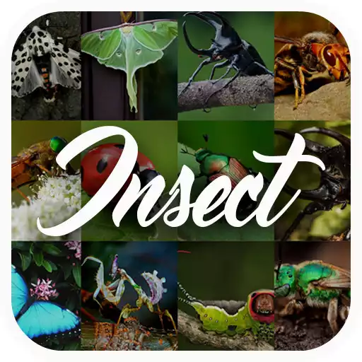 Play Insect Encyclopedia APK Play Insect Encyclopedia APK