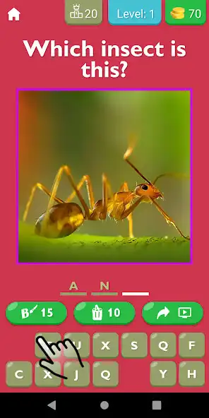 Play Insect Explorer Game  and enjoy Insect Explorer Game with UptoPlay