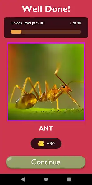Play Insect Explorer Game as an online game Insect Explorer Game with UptoPlay