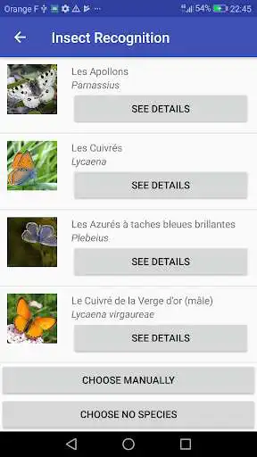 Play Insect Identifier as an online game Insect Identifier with UptoPlay
