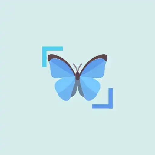 Play InsectID - Identify Insects APK