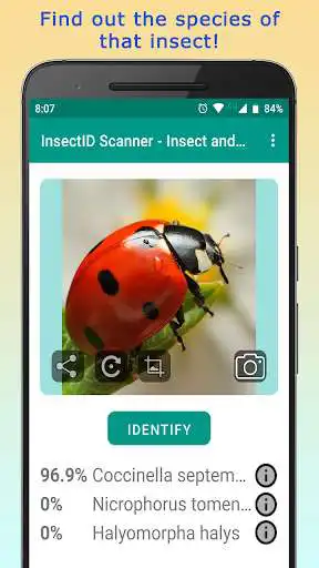 Play InsectID - Identify Insects  and enjoy InsectID - Identify Insects with UptoPlay