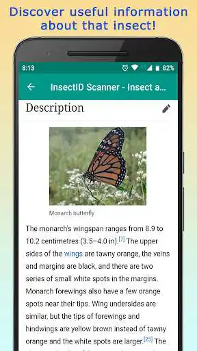 Play InsectID - Identify Insects as an online game InsectID - Identify Insects with UptoPlay