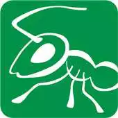 Free play online Insect Life APK