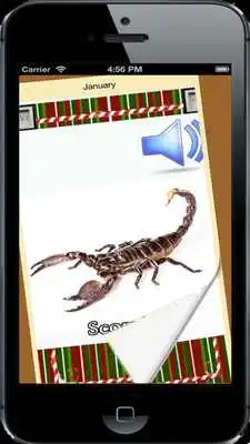 Play Insects for Info Kids
