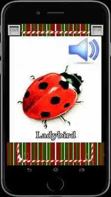 Play Insects for Info Kids