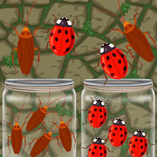 Play Insect Sort Puzzle Color Bugs APK