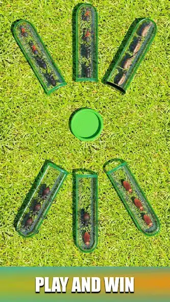 Play Insect Sort Puzzle Color Bugs  and enjoy Insect Sort Puzzle Color Bugs with UptoPlay