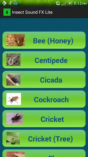 Play APK Insect Sound FX Lite  and enjoy Insect Sound FX Lite with UptoPlay com.v_ware.insectsoundfxlite