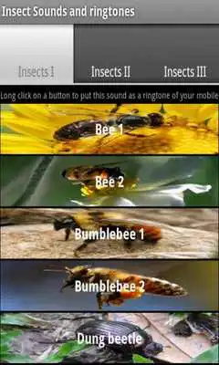 Play Insect sounds and ringtones