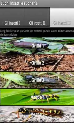 Play Insect sounds and ringtones