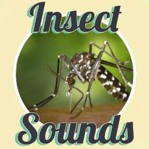 Free play online Insect Sounds APK Free play online Insect Sounds APK
