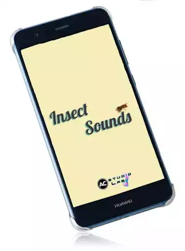 Play Insect Sounds