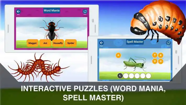 Play Insects Puzzles for Kids