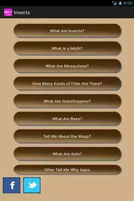 Play Insects