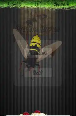 Play Insects Smasher : Tap  Smash