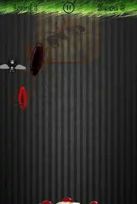 Play Insects Smasher : Tap  Smash