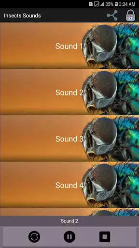 Play Insects Sounds  and enjoy Insects Sounds with UptoPlay