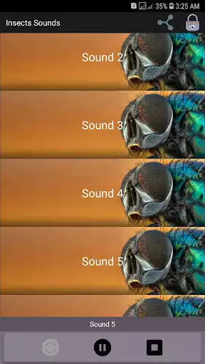 Play Insects Sounds as an online game Insects Sounds with UptoPlay