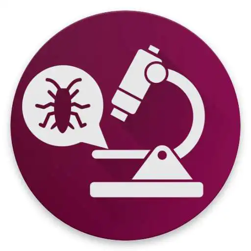 Play Insects Under Microscope - small world of Insects APK Play Insects Under Microscope - small world of Insects APK