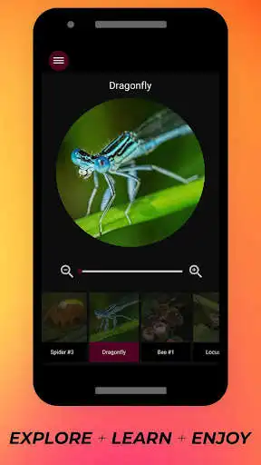 Play Insects Under Microscope - small world of Insects  and enjoy Insects Under Microscope - small world of Insects with UptoPlay