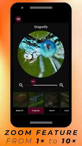 Play Insects Under Microscope - small world of Insects as an online game Insects Under Microscope - small world of Insects with UptoPlay