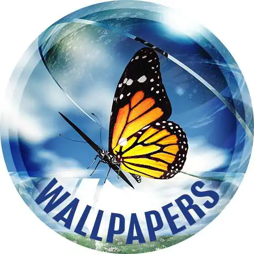 Play Insects Wallpapers in 4K APK Play Insects Wallpapers in 4K APK
