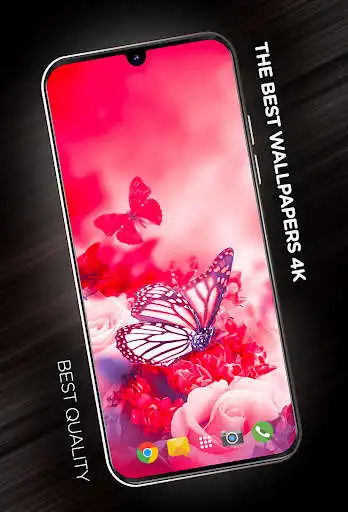 Play Insects Wallpapers in 4K  and enjoy Insects Wallpapers in 4K with UptoPlay